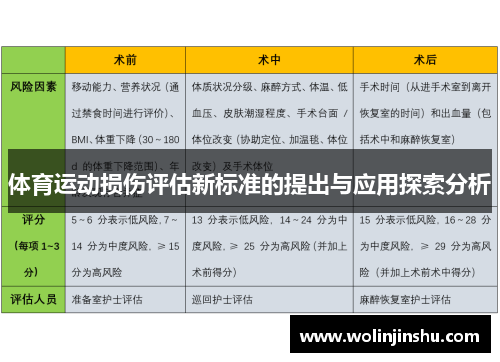 体育运动损伤评估新标准的提出与应用探索分析