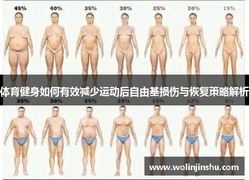 体育健身如何有效减少运动后自由基损伤与恢复策略解析