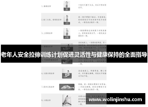 老年人安全拉伸训练计划促进灵活性与健康保持的全面指导
