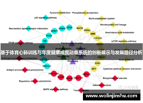 基于体育心肺训练与年度健康成就勋章系统的创新展示与发展路径分析