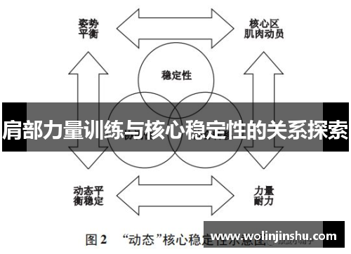 肩部力量训练与核心稳定性的关系探索