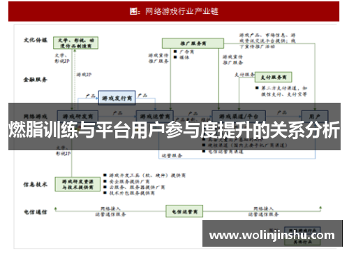 燃脂训练与平台用户参与度提升的关系分析